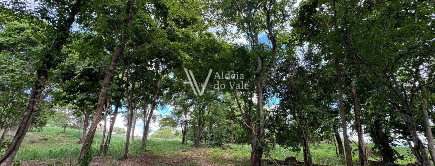 photo_5033064345466154438_y-1920x822