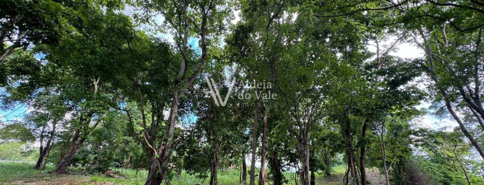 photo_5033064345466154439_y-1920x822