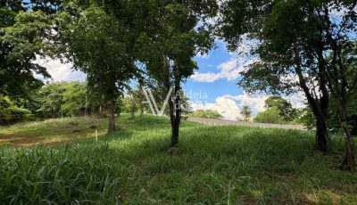 photo_5033064345466154446_y-1920x822