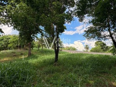 photo_5033064345466154446_y-1920x822